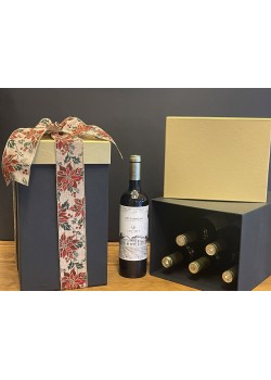 Κουτί 6 Φιαλών (Κύβος)