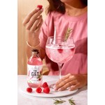 Sir James 101 Pink Gin & Tonic 0.25 LT