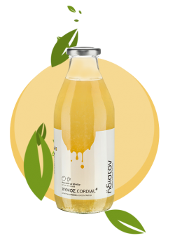 Ήδιστον Λεμονάδα-Ginger-Γλυκαντικό Σταφυλιού 750 ml